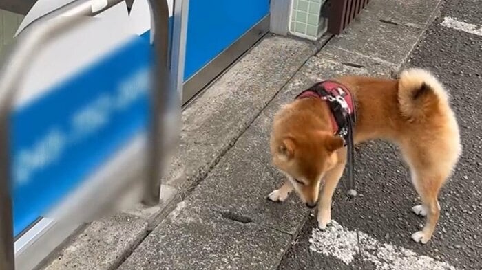 残念だが診療時間外で特に用事もないため、戻ることに