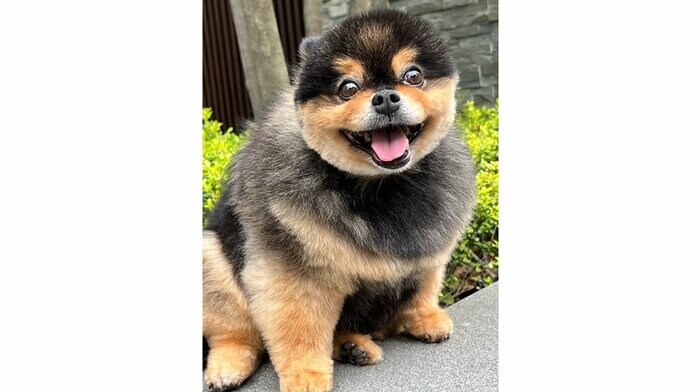 たろ吉ちゃん