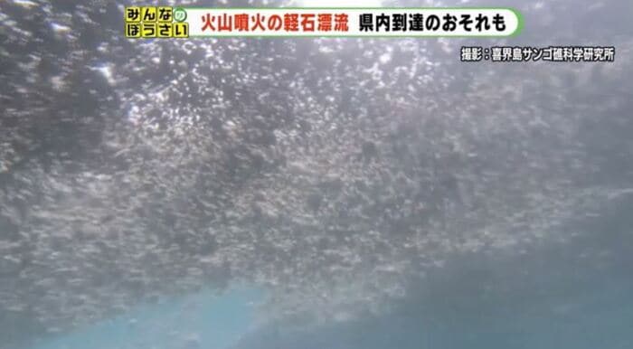 海中から水面を見ると灰色に