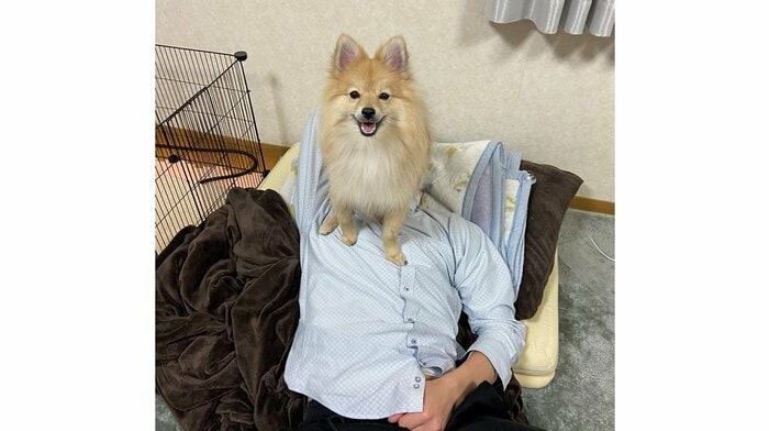 正面から撮影 旦那さんの顔が見えない…