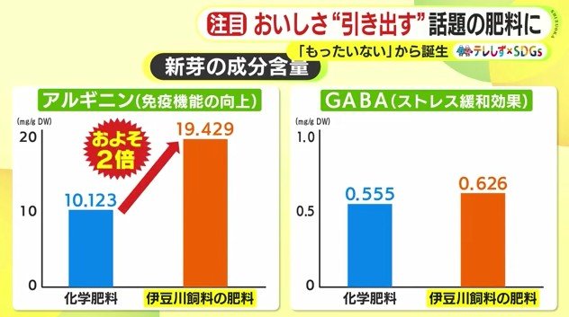肥料の違いによる含有量の差