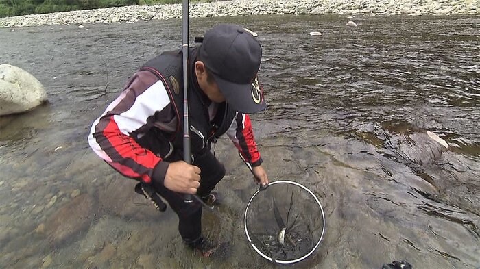 アユの友釣りが最盛期 塩焼きに子どもたち大満足