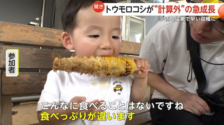 「カツオ」は脂のり抜群、トウモロコシは“計算外”の急成長　「今までの常識じゃ計れない」猛暑の影響で食材に変化？｜FNNプライムオンライン