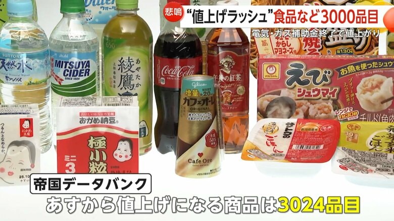「質素な生活より貧しい生活に変わりそう」10月“値上げラッシュ”食品など3024品目…補助金終了で光熱費も値上がり　大手スーパーなど値下げへ工夫も｜FNNプライムオンライン