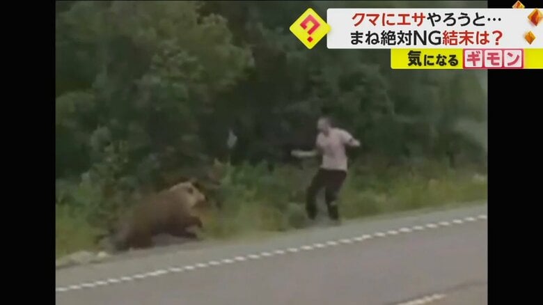 【絶対にマネしてはいけない】クマに襲われそうになった男性がクマを“逆威嚇”　にらみ合いの末…クマが根負け　ロシア｜FNNプライムオンライン