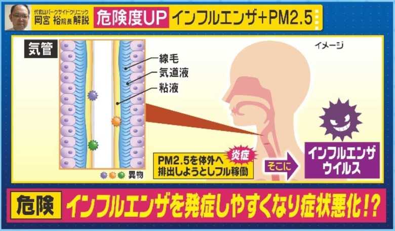 <インフルエンザ+PM2.5の場合>