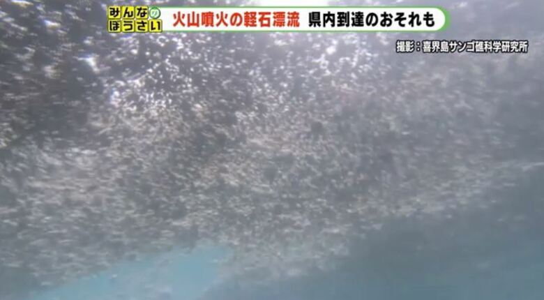 海中から水面を見ると灰色に