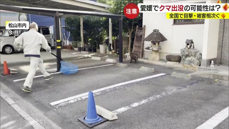 2023年10月に松山市でサルが出現した時の映像