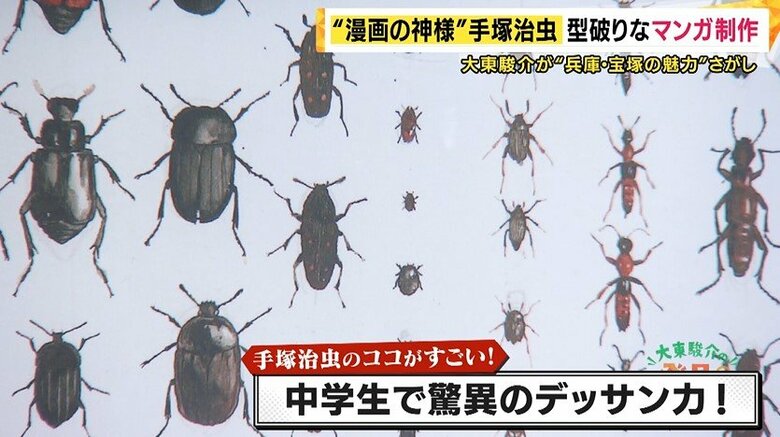 中学時代に描いた精密な昆虫の写生