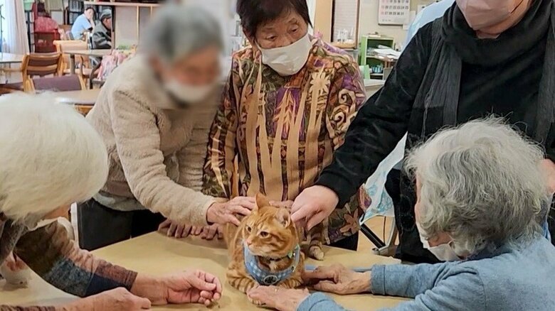 みんなのアイドルに