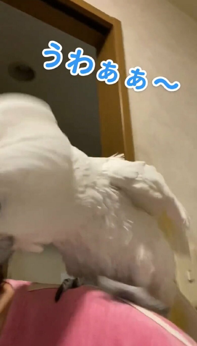 すぐに体勢を整える