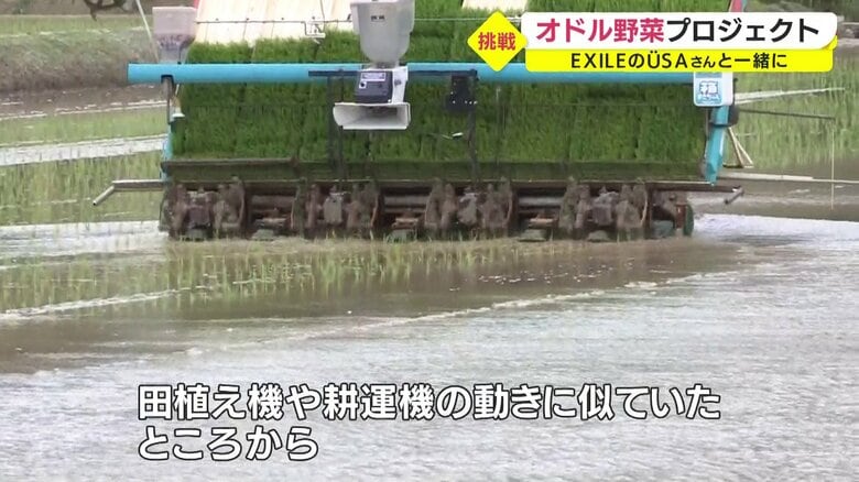 この動きが「choo choo TRAINに似ている」とUSAさん