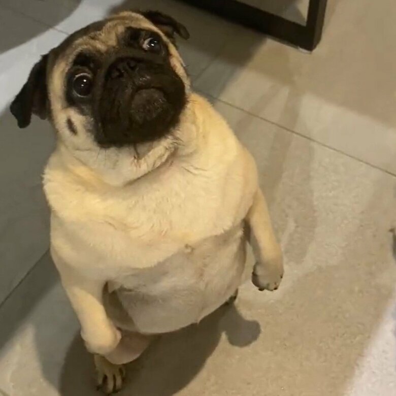 本当に人間なのか？と疑惑がかかることも