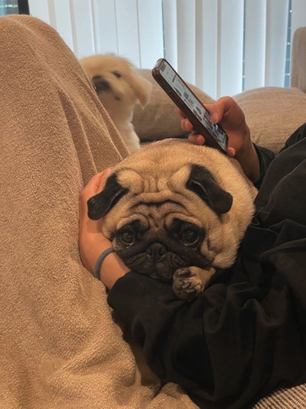 提供：よこむすびさん