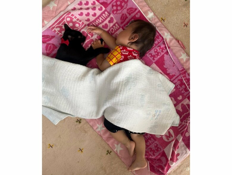 提供：ゴンゾウR4さん