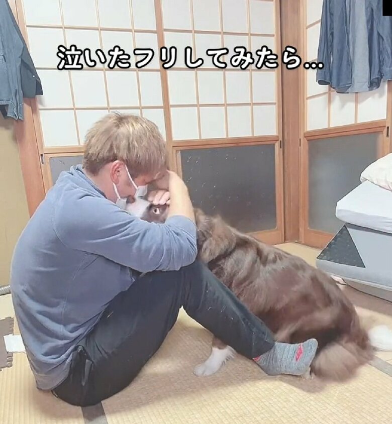 元気を出してと言っているかのよう