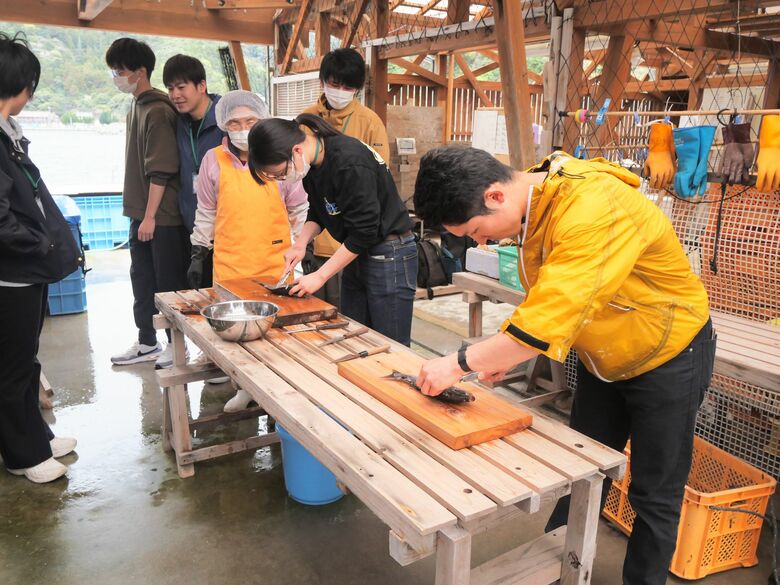 大人の島留学では魚のさばき方も学ぶ