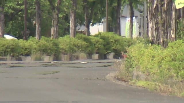 陽炎揺れる福島県伊達市梁川町（2024年6月12日撮影）