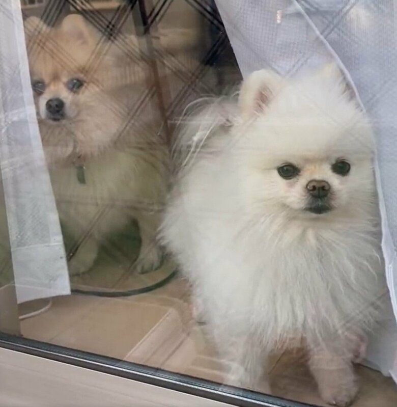 出かけられないと、残念な感じを出すことも