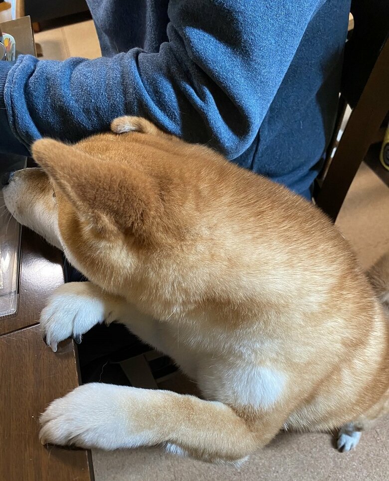 お父さんの朝ご飯チェック