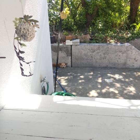 よく見ると、遠くに…