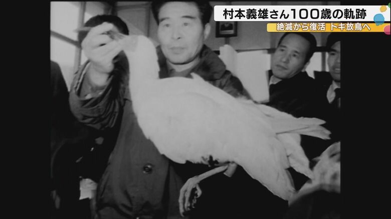 本州最後のトキ「能里」