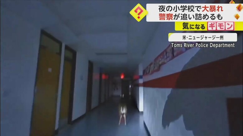 深夜の小学校を逃げ回るシカの様子③