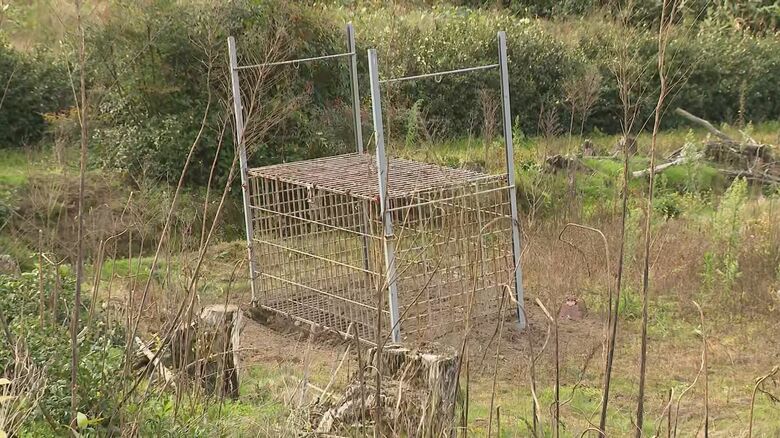 子グマ2頭が入っていた檻