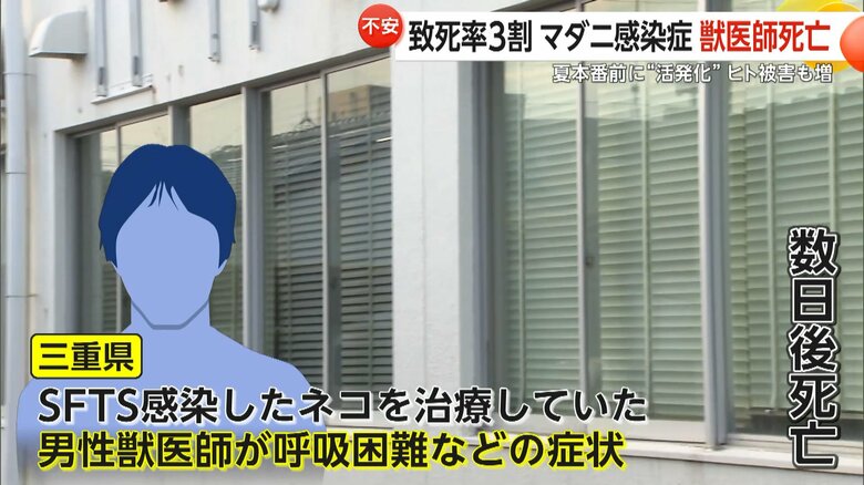 SFTSにかかったネコを治療しウイルス感染で死亡した三重県の獣医師