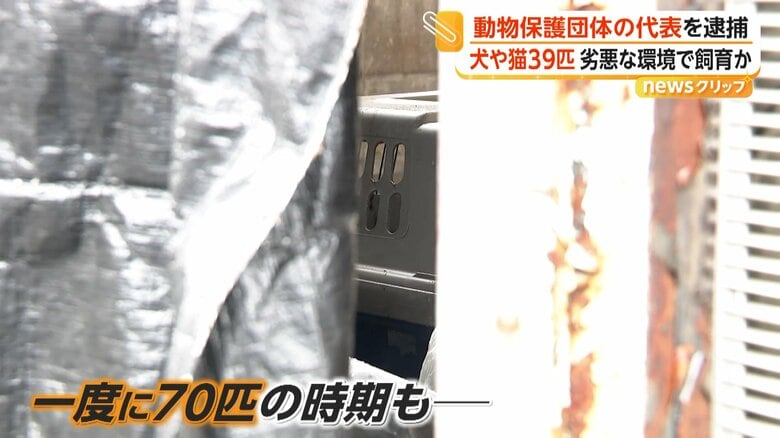 一度に70匹を飼っていた時期もあるという丸ノ内容疑者