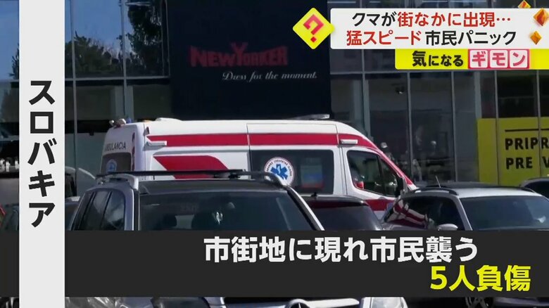 クマに襲われ、5人が負傷したという