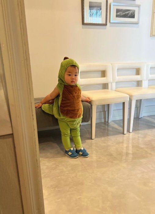 提供：＠zen_pokoさん