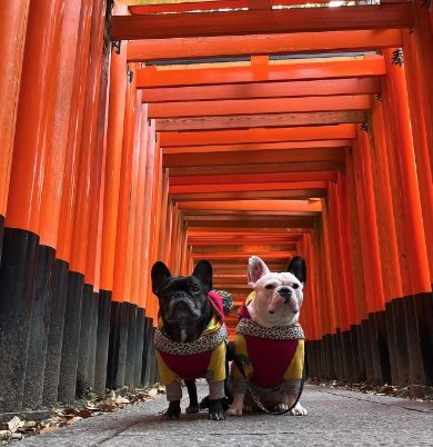 提供：天使の笑顔さん