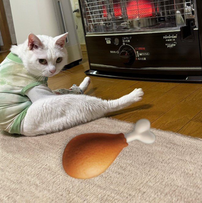 提供：しんばぷーさん