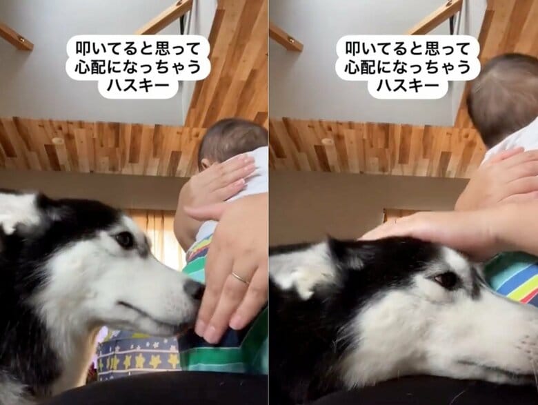 提供：akariさん