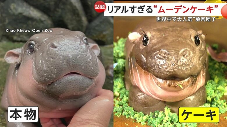 本物とケーキのムーデン