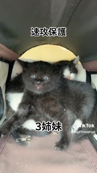 提供：エンとちぃさん