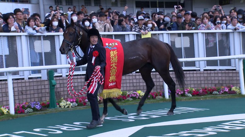 新潟大賞典で重賞初制覇のシリウスコルト
