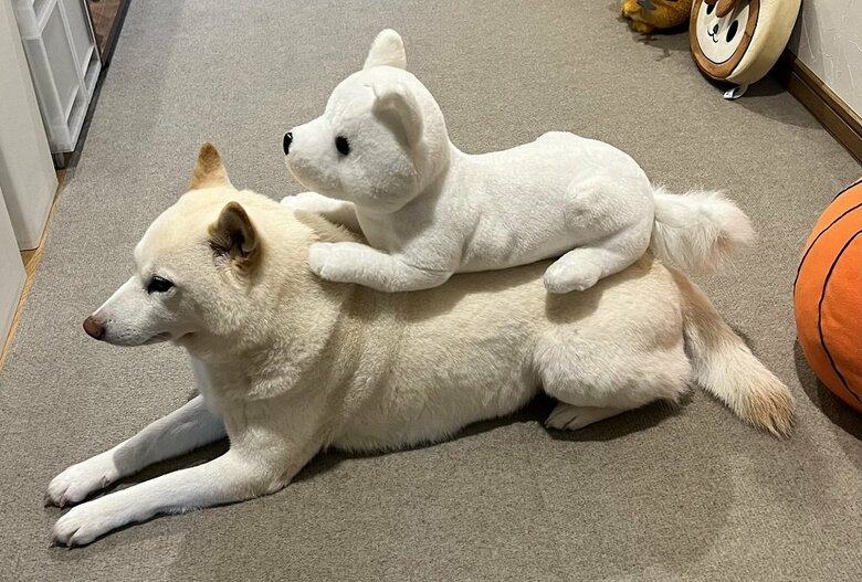 組体操