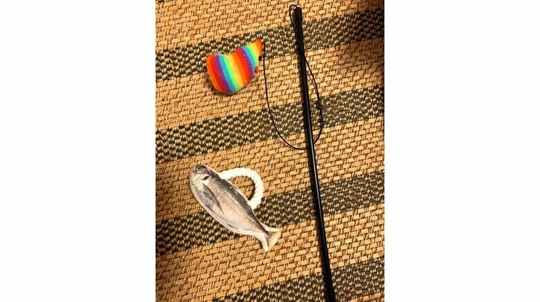 娘さんが買ってきたおもちゃ（左：綱の付いた魚のぬいぐるみ　右：棒とひもで繋がった虹色のねずみ）