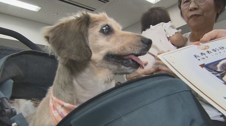 ご長寿犬