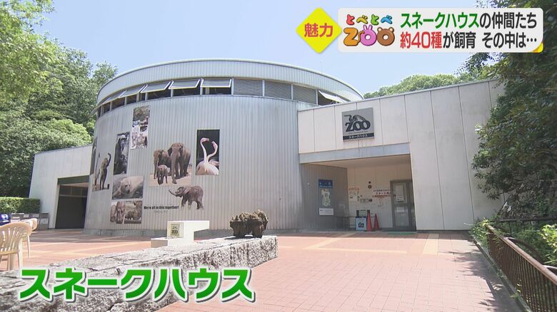 愛媛県立とべ動物園の中にある「スネークハウス」