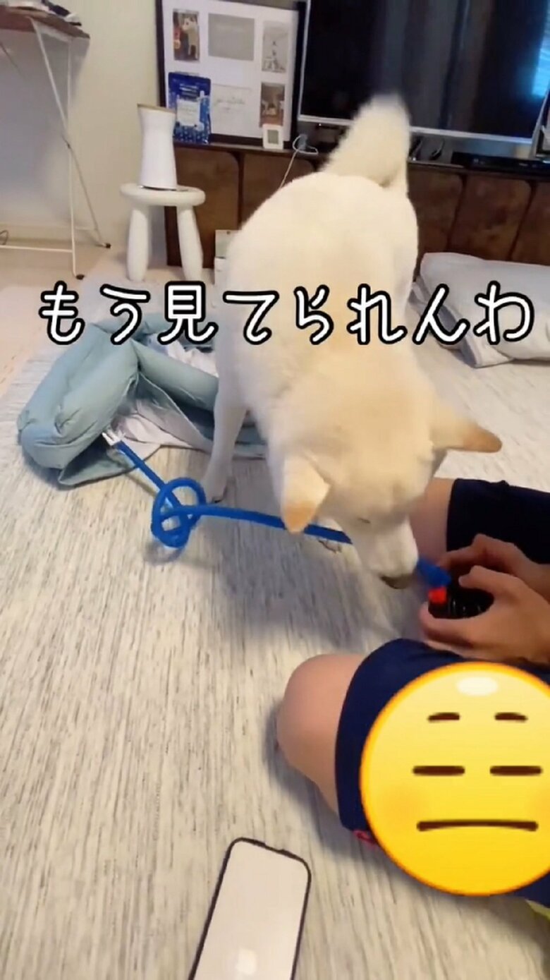 「もう見てられんわ」とじれったくなっているだい吉くん