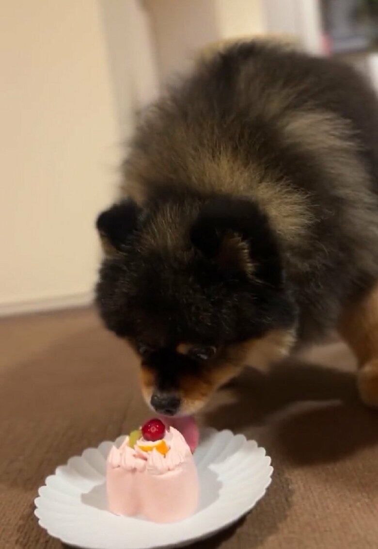 食べ始めたら止まることなく