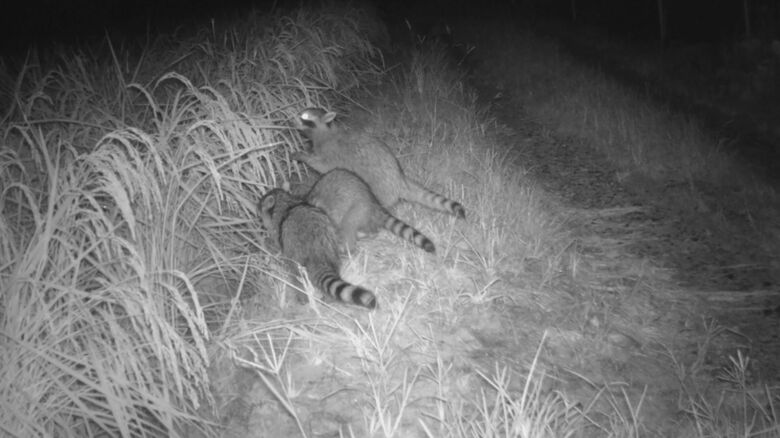 提供：山﨑久雄さん