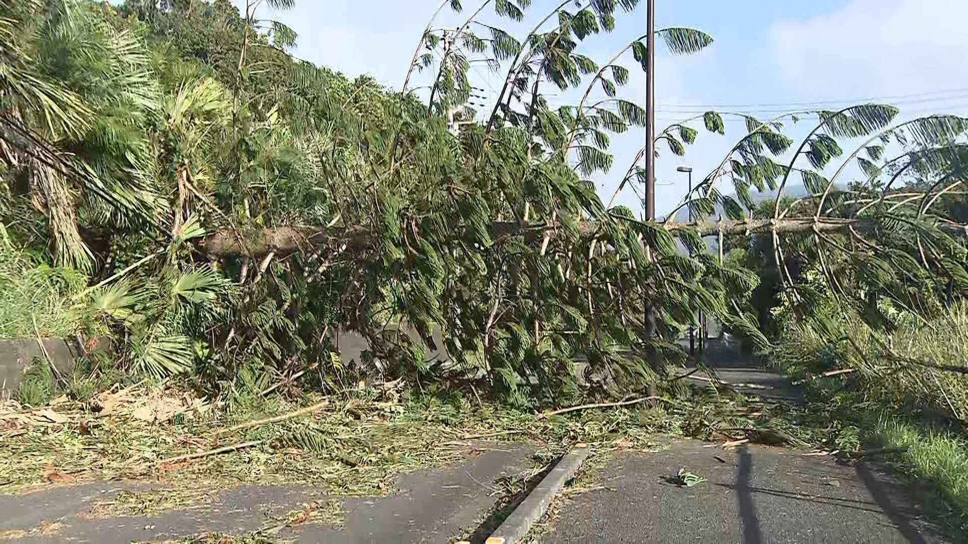 ラーメン店がバラバラに…台風22号で八丈島の建物に被害　主要道路に倒木も　断続的な停電で生活に影響