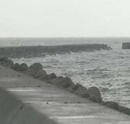 【速報】男性とみられる遺体が見つか　9歳男児を助けようと海に入った20代男性が行方不明に…男児は家族らと釣り中に海に転落　意識不明の重体　淡路市