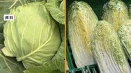 レタス“2倍”1kg1200円超　長雨で「葉物野菜」軒並み高値