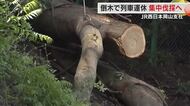 ＪＲ西日本岡山支社が倒木被害対策　航空レーザー測量・大型重機を導入し沿線の樹木を集中的に伐採【岡山】