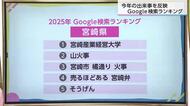 どんなものが検索された？　2025年Google検索・宮崎県でのランキング